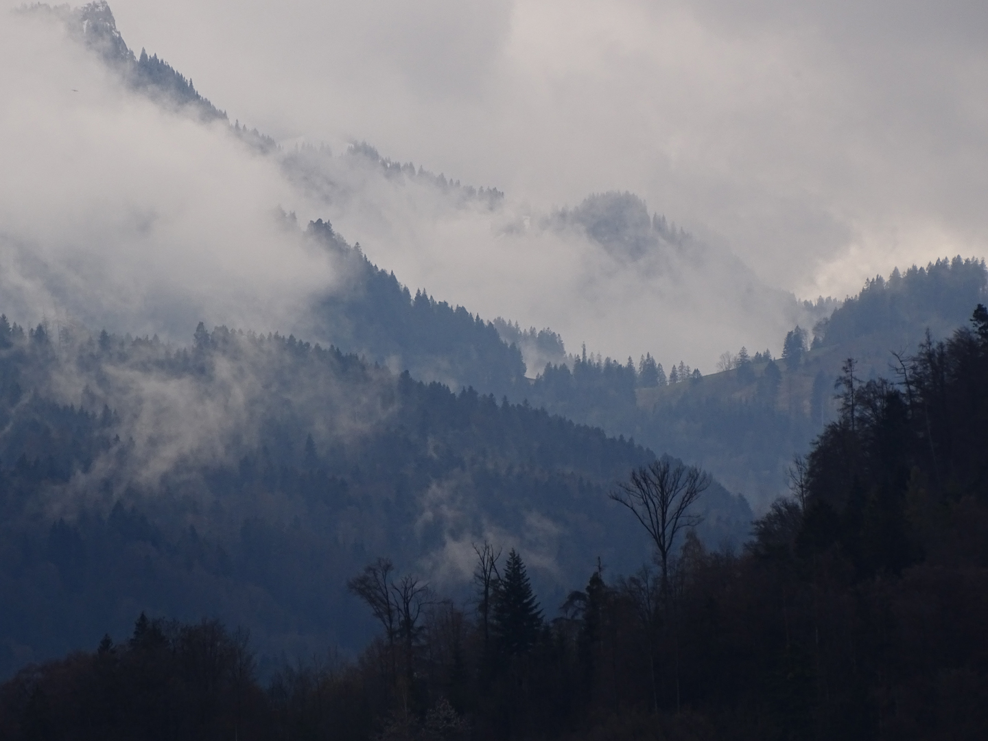 Leonie Miller Photography