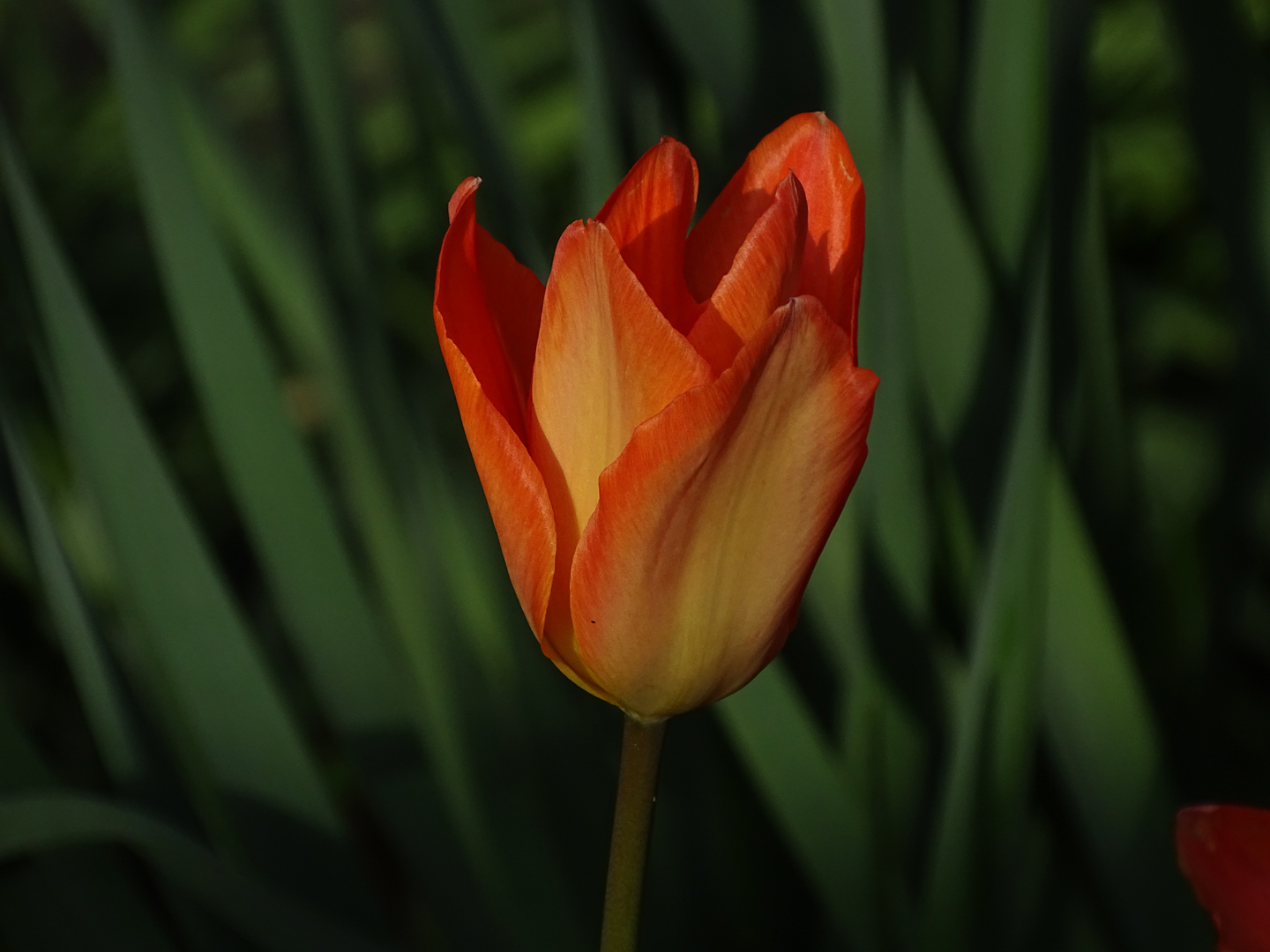 Leonie Miller Photography